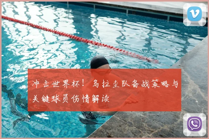 冲击世界杯！乌拉圭队备战策略与关键球员伤情解读