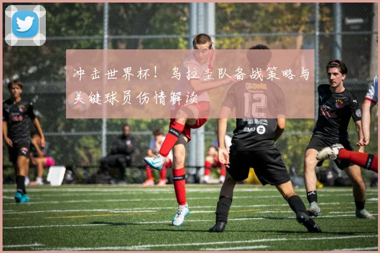 冲击世界杯！乌拉圭队备战策略与关键球员伤情解读