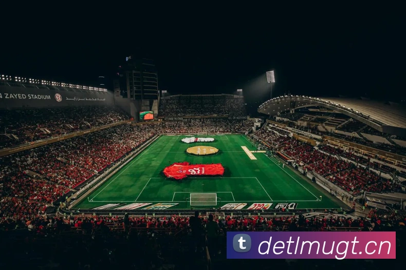 星空入口网页版官方版平台生态图